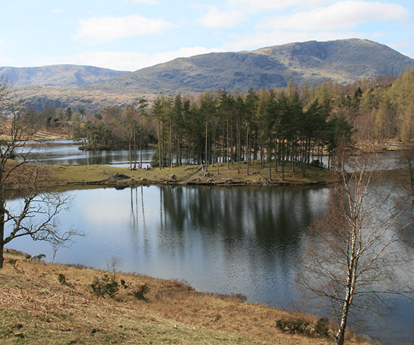 Beautiful Tarn Hows