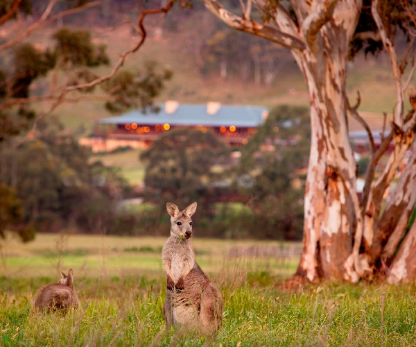 australia eco-luxury